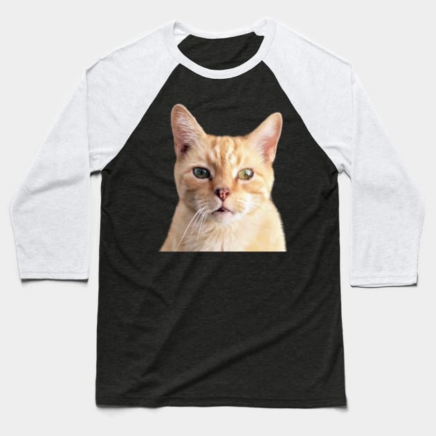 Ginger Cat Head Shot Baseball T-Shirt by PLANTONE